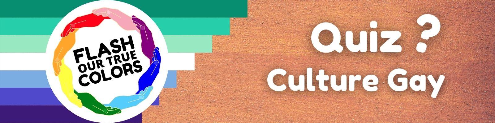 Bannière du quiz culture gay